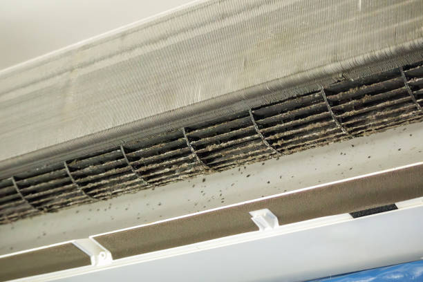 Best Air Duct Cleaning Near Me  in Cape May Court House, NJ